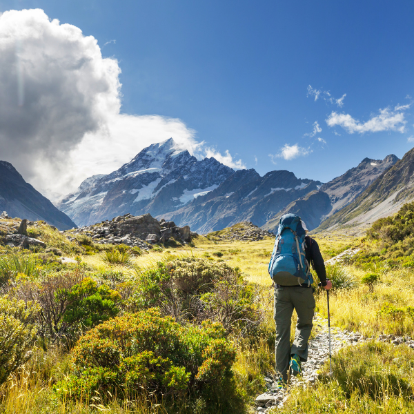 1-Dec-03-2025-12-06-56-4646-AM 1-Dec-03-2025-12-06-56-4646-AM