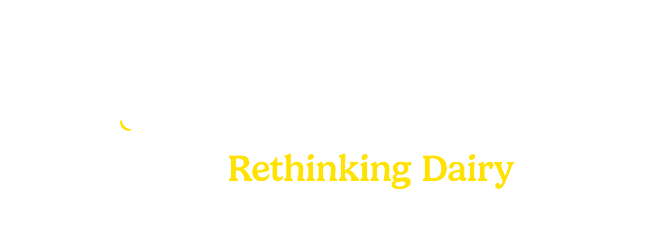 Daisy Lab Logo for Outset Ventures